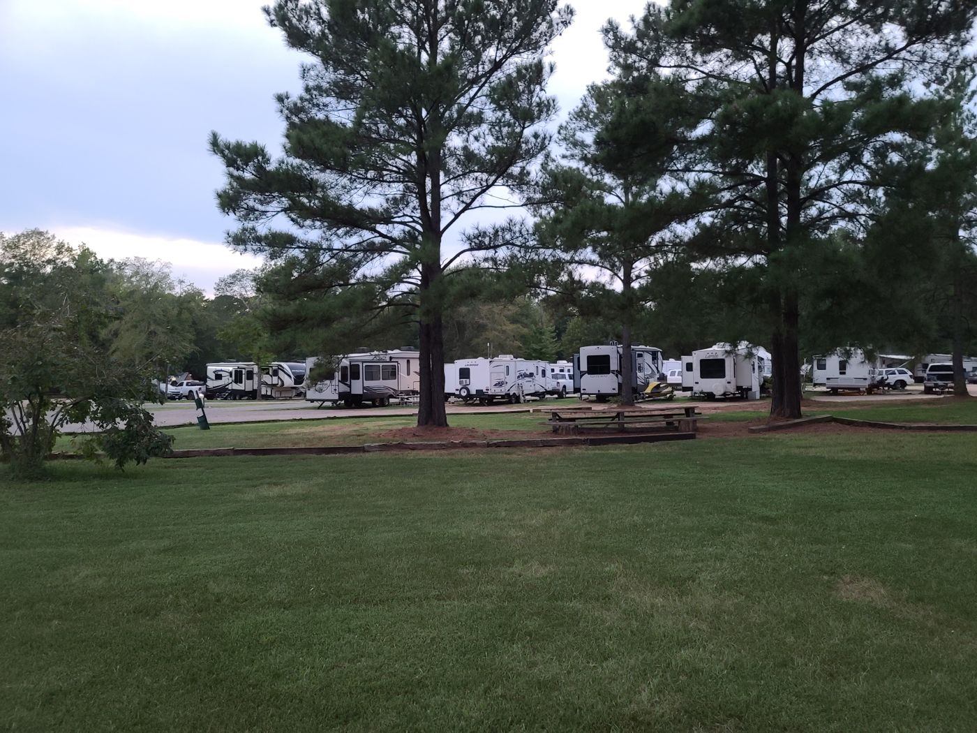 Tall pines over the lawn and RV row at Timberline