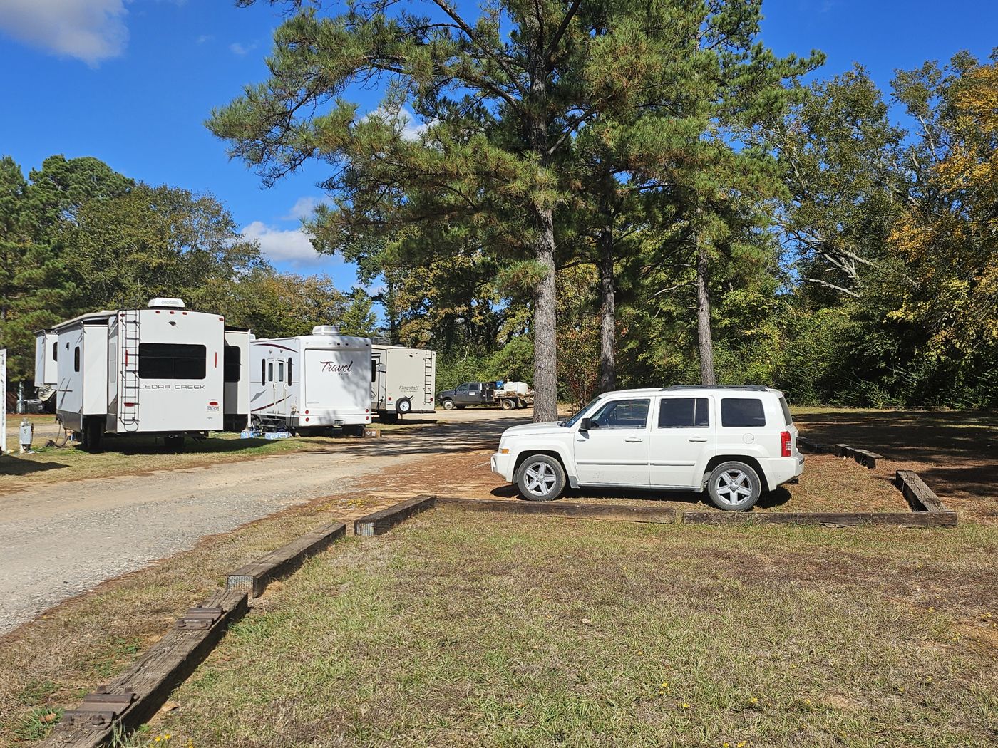 A shaded site among tall pines