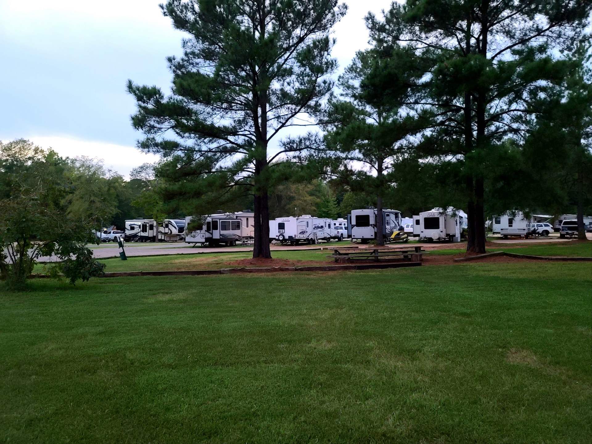 Picnic area with tall pines and RVs in the background at Timberline RV Park